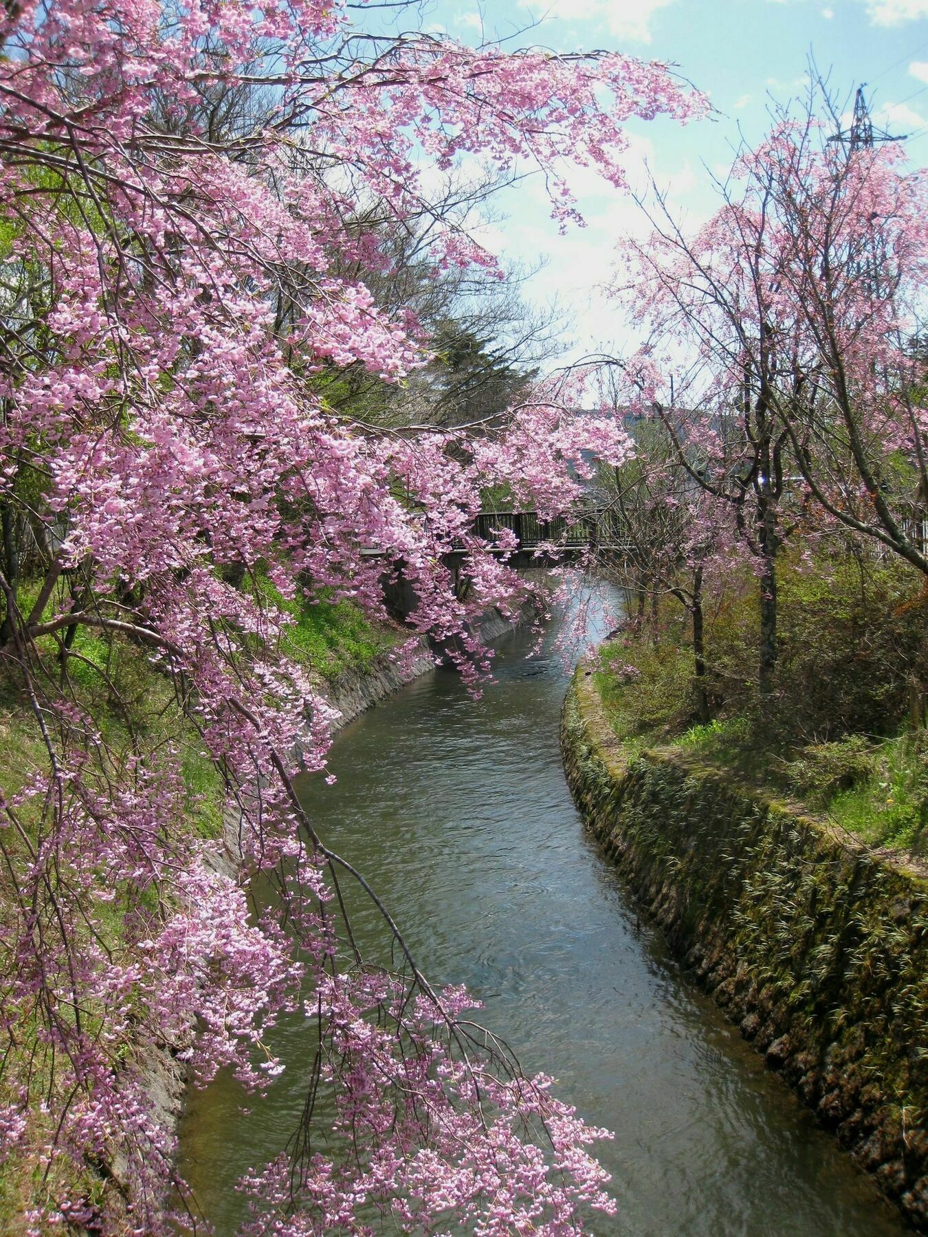 Zero-Project Japan Guesthouse ยามานากะโกะ ภายนอก รูปภาพ